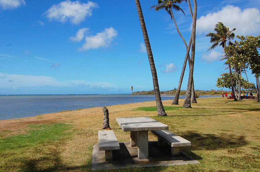 Oceanfront picnic table