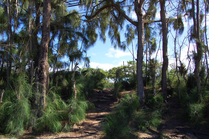 Steep walkway to the beach