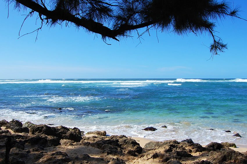 View from a shady spot