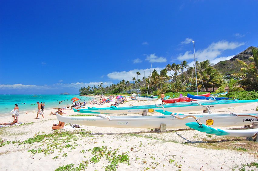 Busy day on the beach