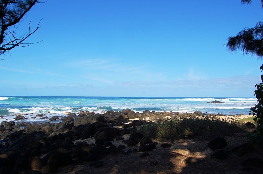 Lava rocks along the shore