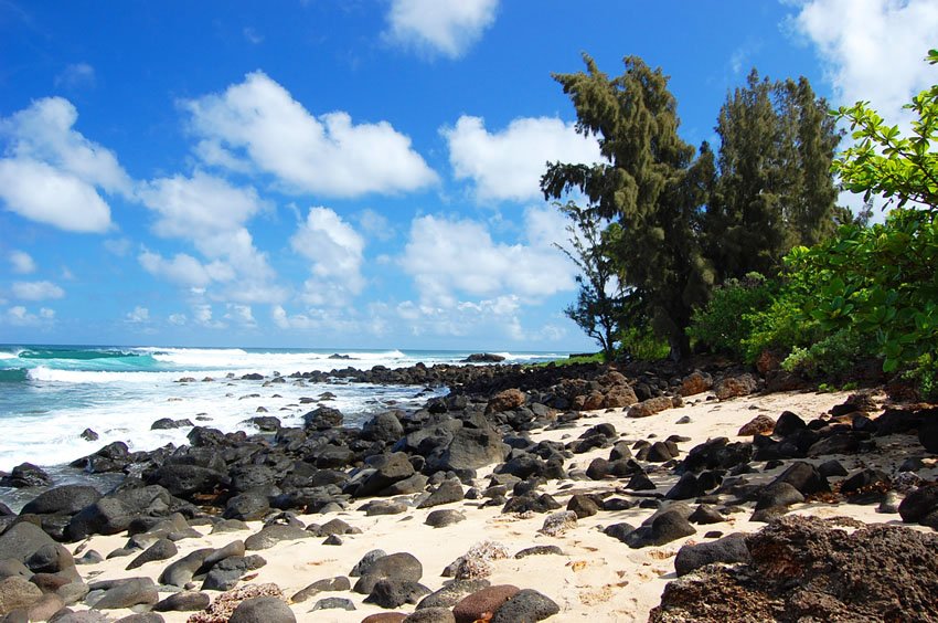 Rocky beach