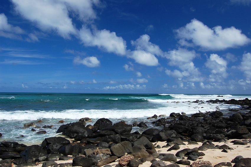 Beautiful Oahu shore