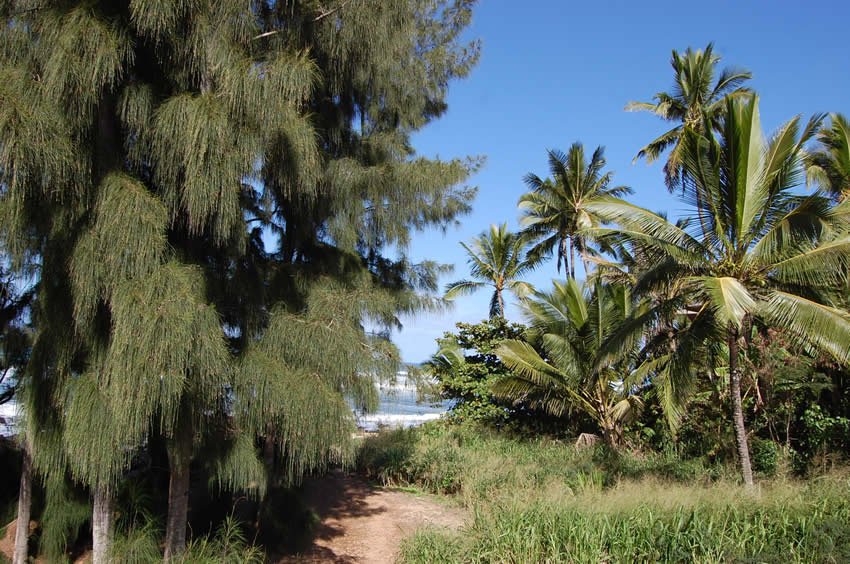 Short beach trail