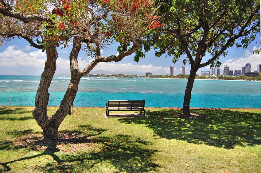 Bench with view to Honolulu