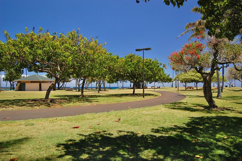 Park walkway