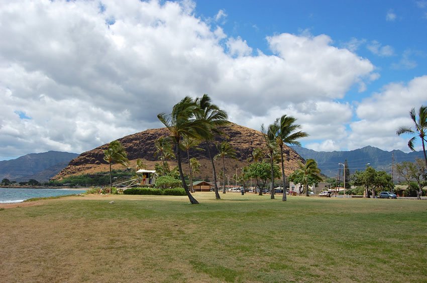 Nice park for picnics