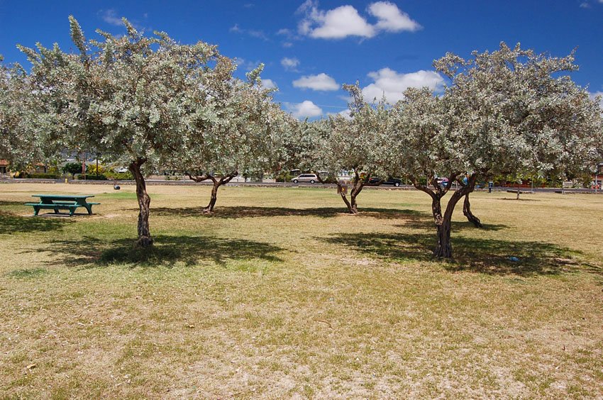 Park and picnic area