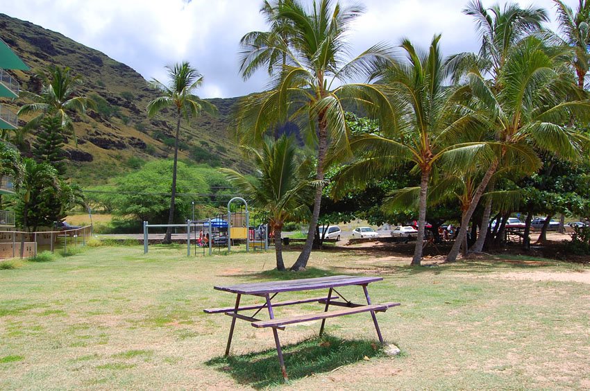 Picnic table and playground