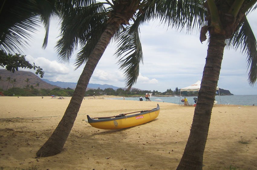 Between two palm trees