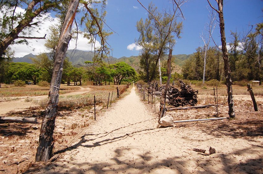 Makaleha Beach trail