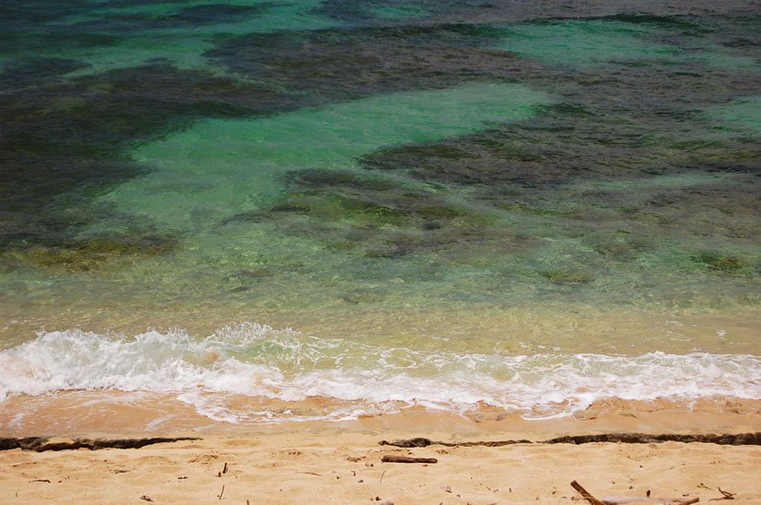 Good snorkeling beach