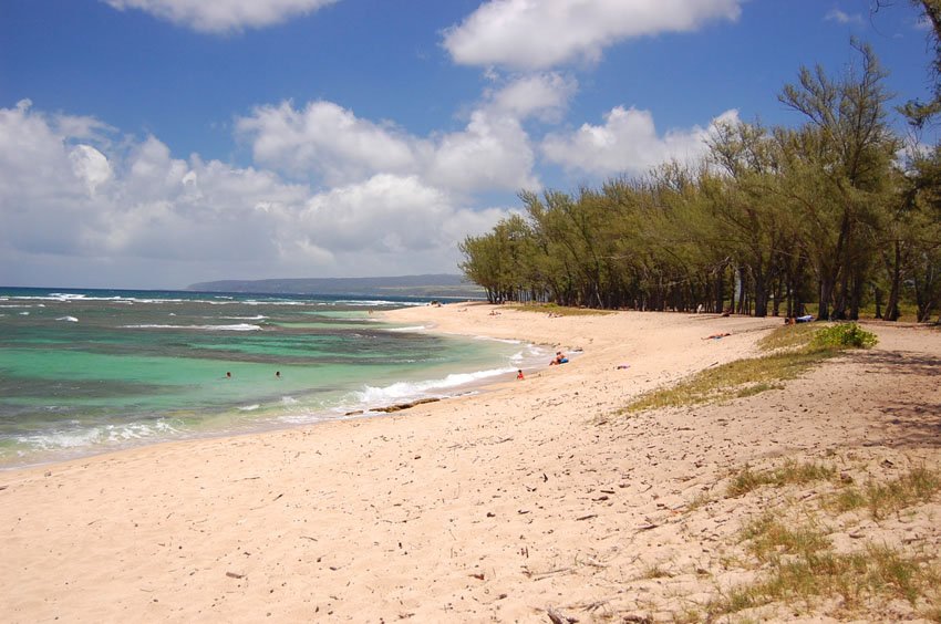 Beach on Oahu's north shore