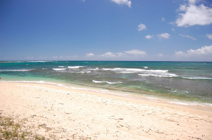 Sandy beach on Oahu's north shore