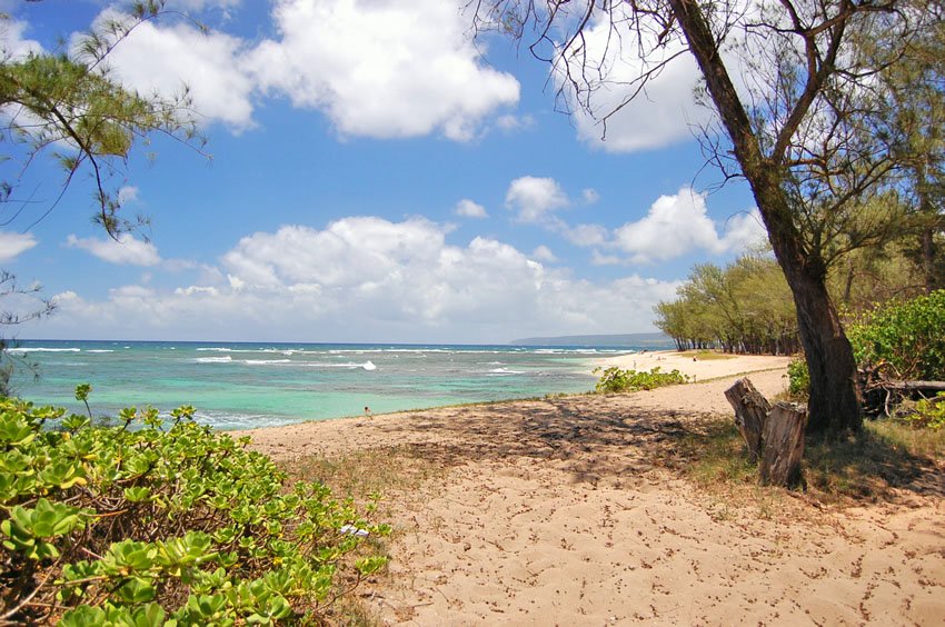 Sandy beach