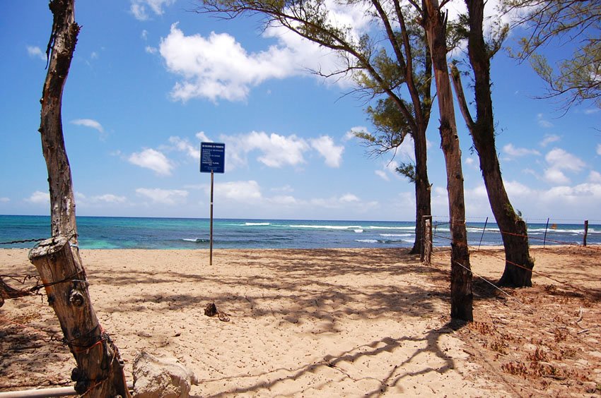 View at the end of the trail