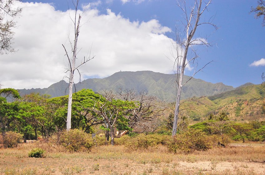 Waianae Mountain Range