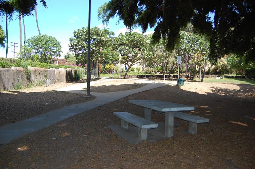 Picnic area under a tree