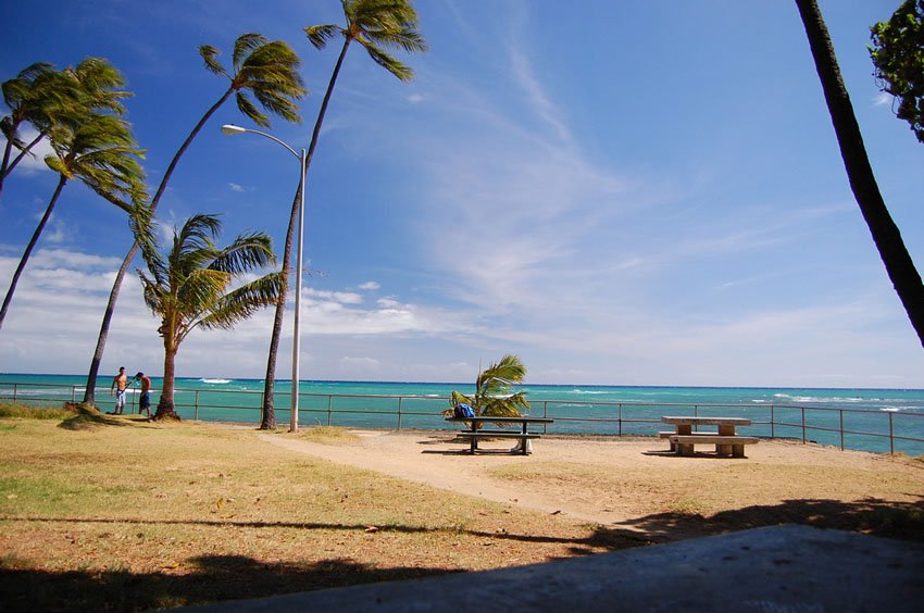 Picnic tables