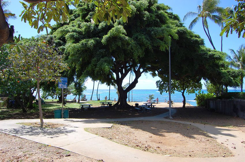 Park near Diamond Head Crater