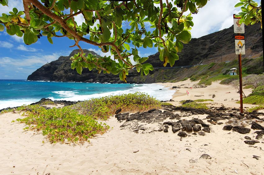 View to Makapu'u Point