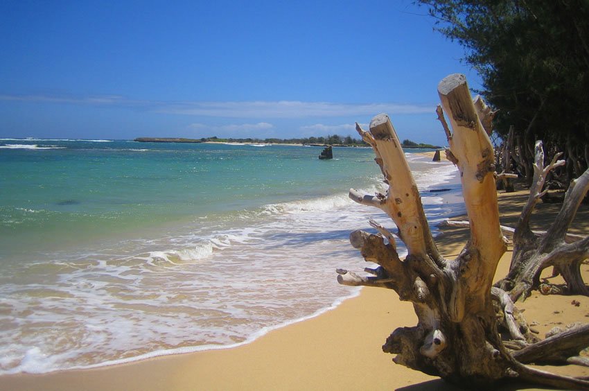 View to Goat Island