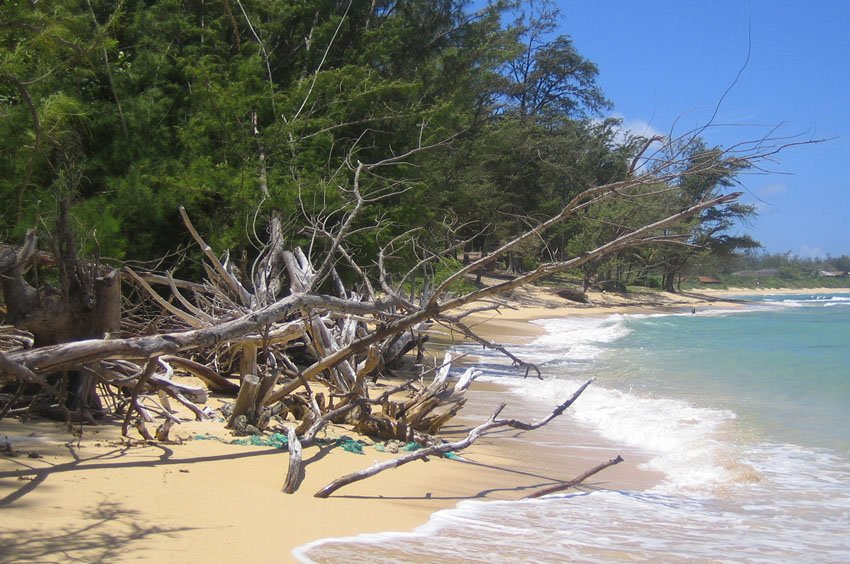 Oahu windward beach