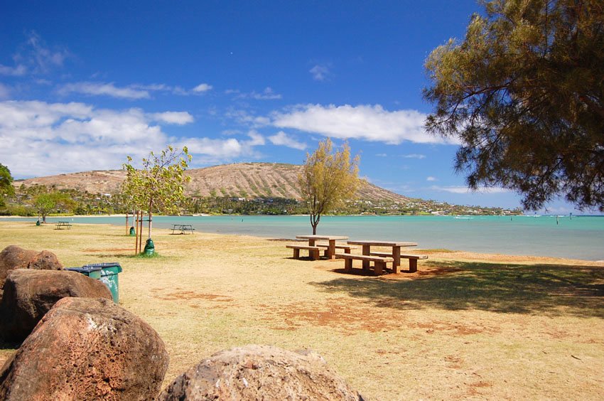 Oceanfront picnic area