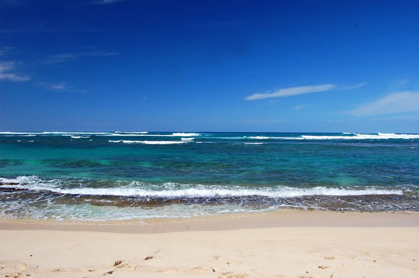 Coral reef visible in crystal clear water