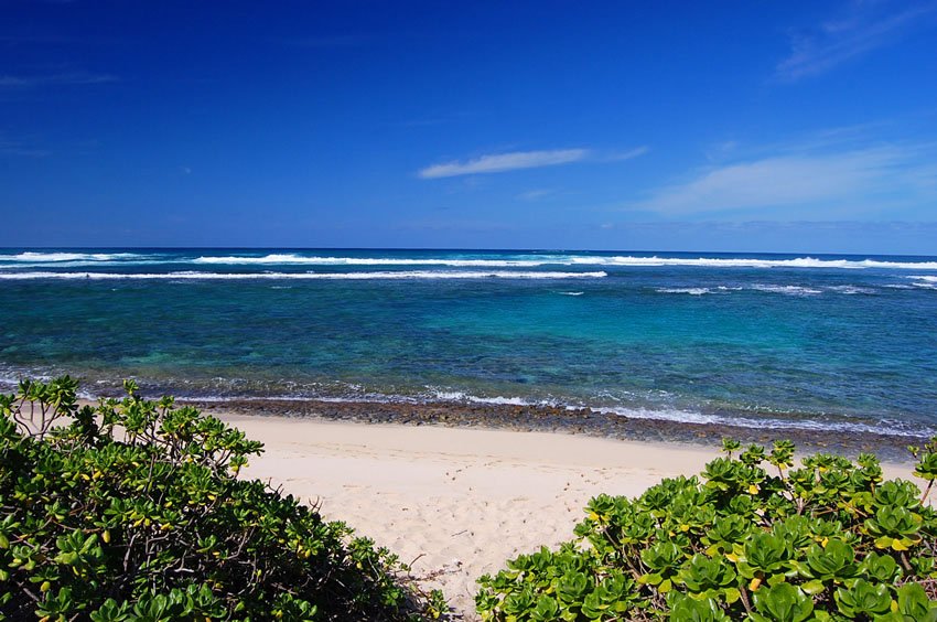 Breathtaking scenery at Mokule'ia