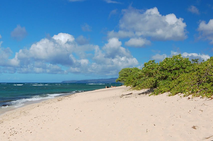 Mokuleia Beach