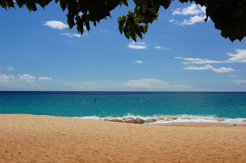 View from a shady picnic table