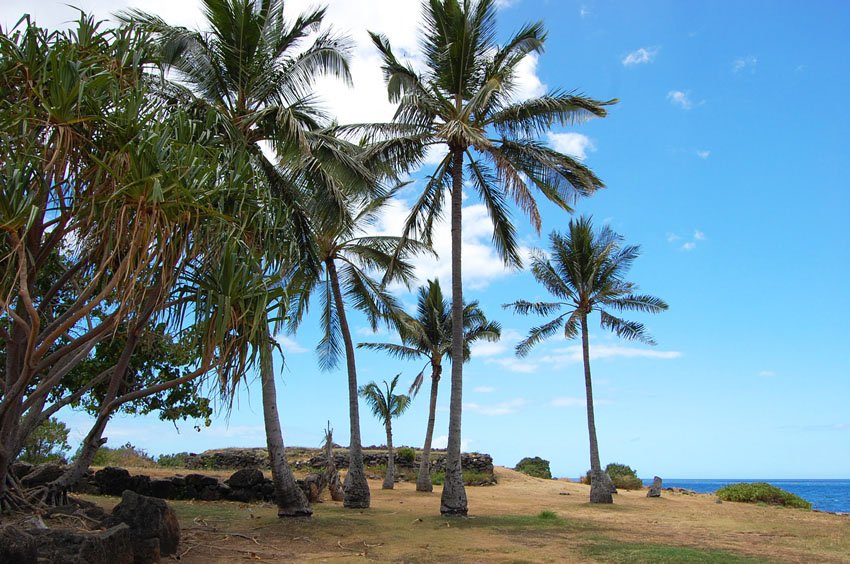 Ku'ilioloa Heiau