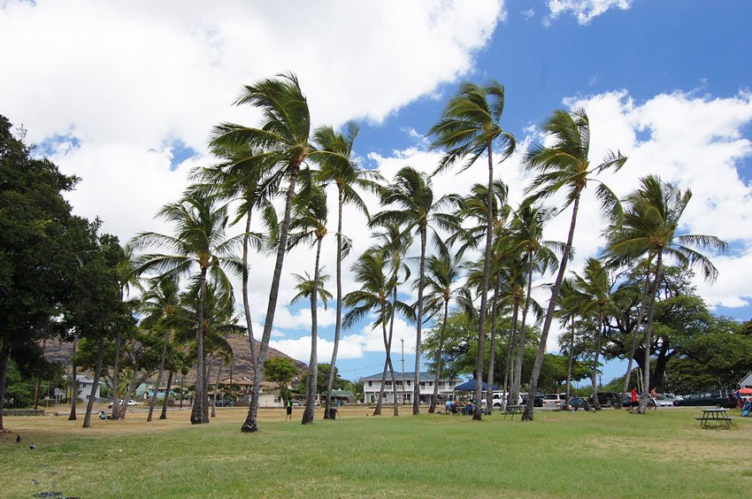 Poka'i Park