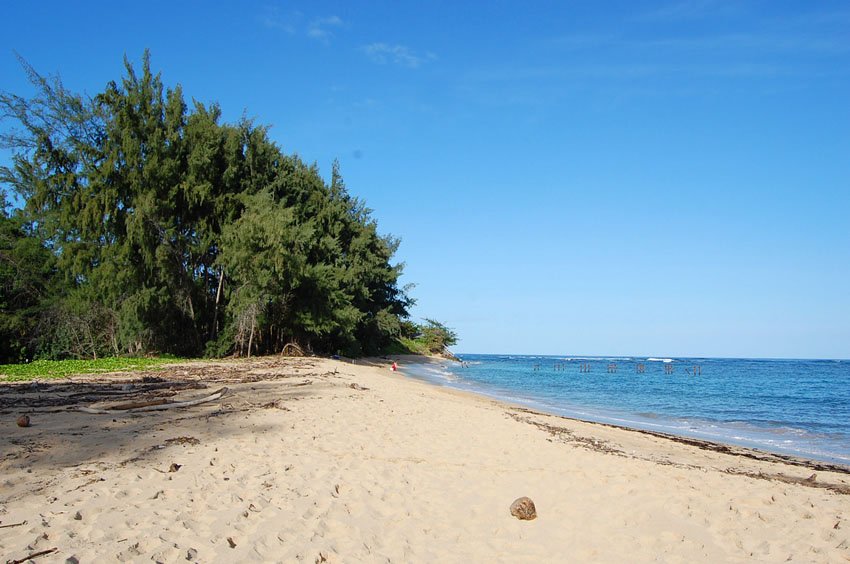 Looking north of Pounders Beach