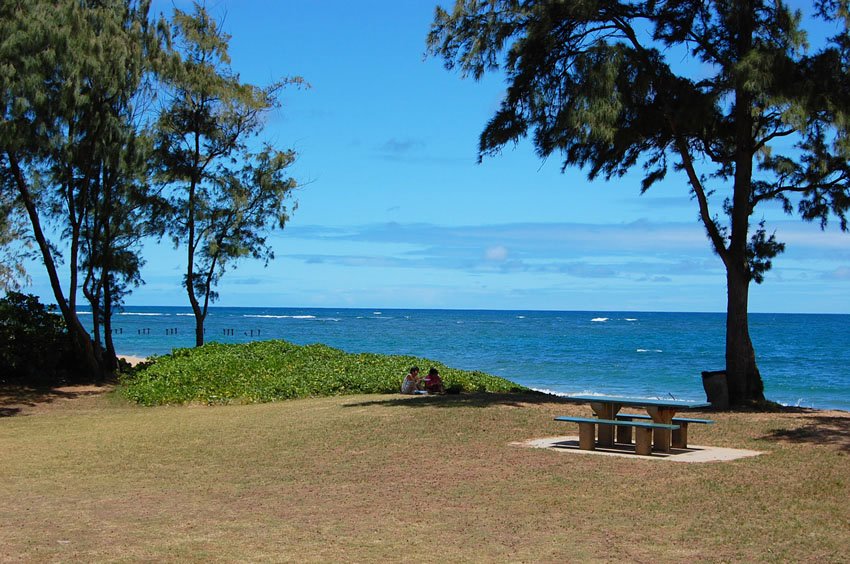 Picnic area in La'ie