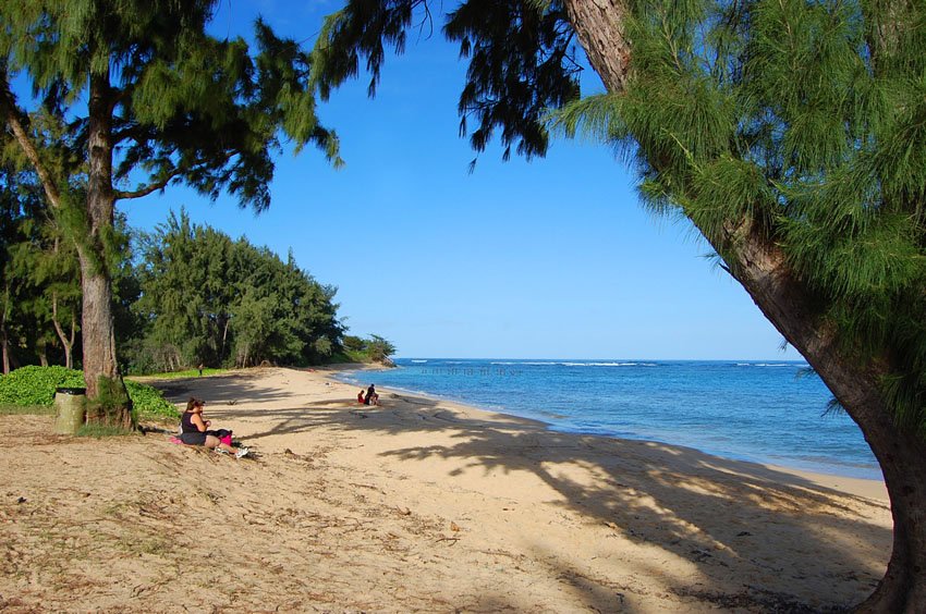 Plenty of shade on the beach