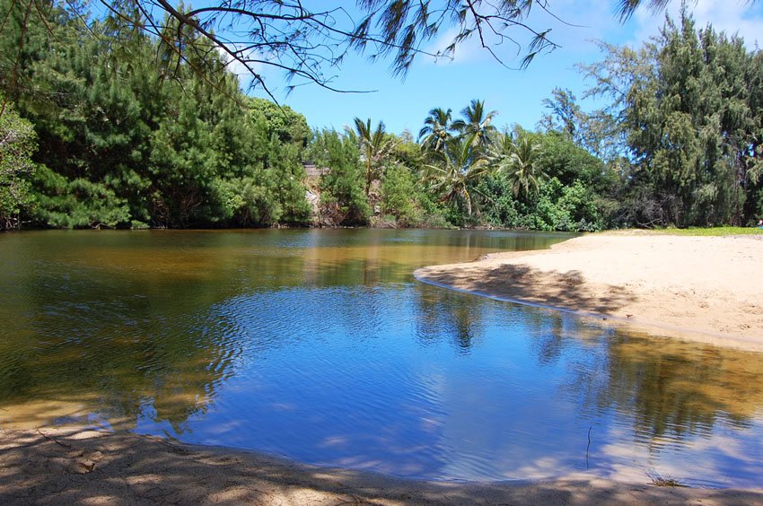 Koloa Stream