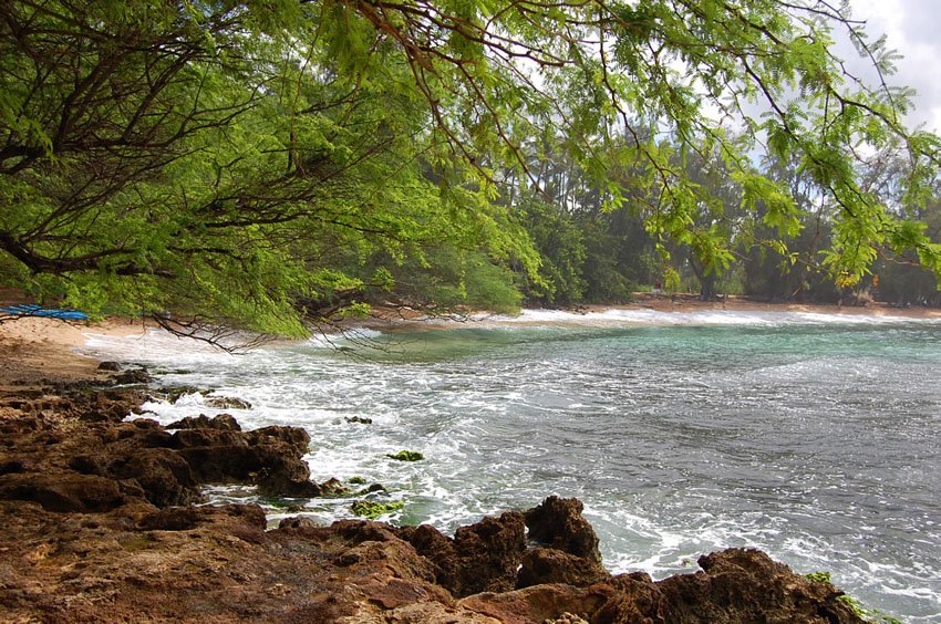 Beach in Haleiwa