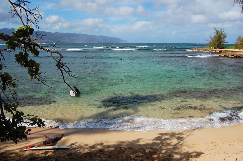 Popular surfing beach in Haleiwa