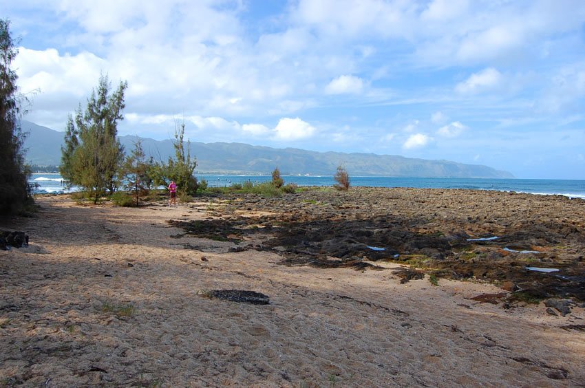 Pua'ena Point