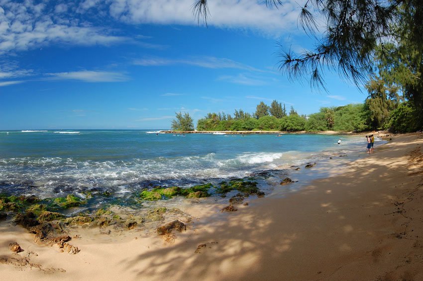 Puaena Point Beach Park