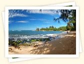 Pua'ena Point Beach Park