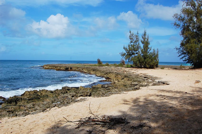 Sand and lava rocks