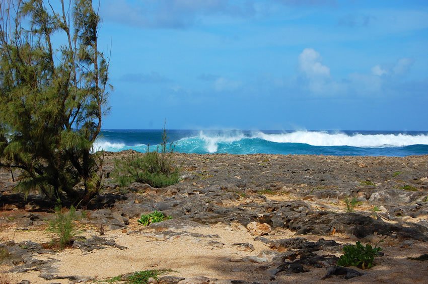 Waves breaking on Pua'ena Point