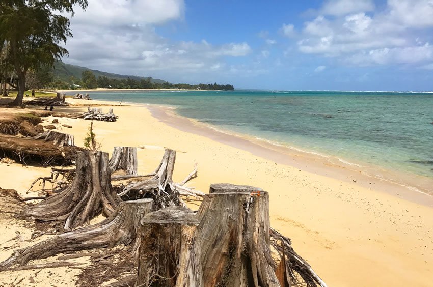 Beach on Oahu's Windward Coast