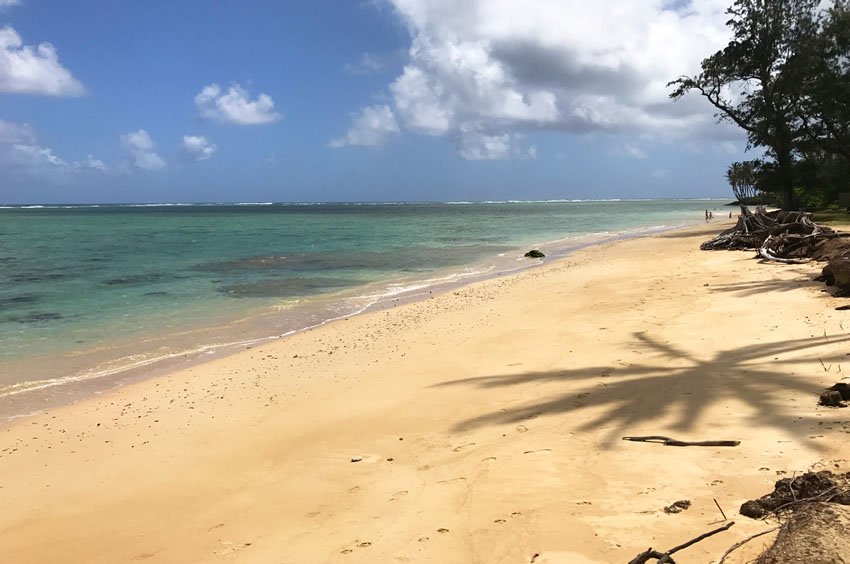 Beach on Oahu's Windward Coast