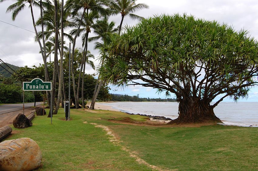 Beach sign