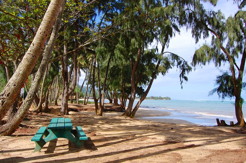 Punaluu Beach Park