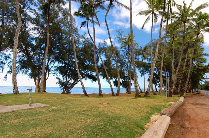 Roadside beach park